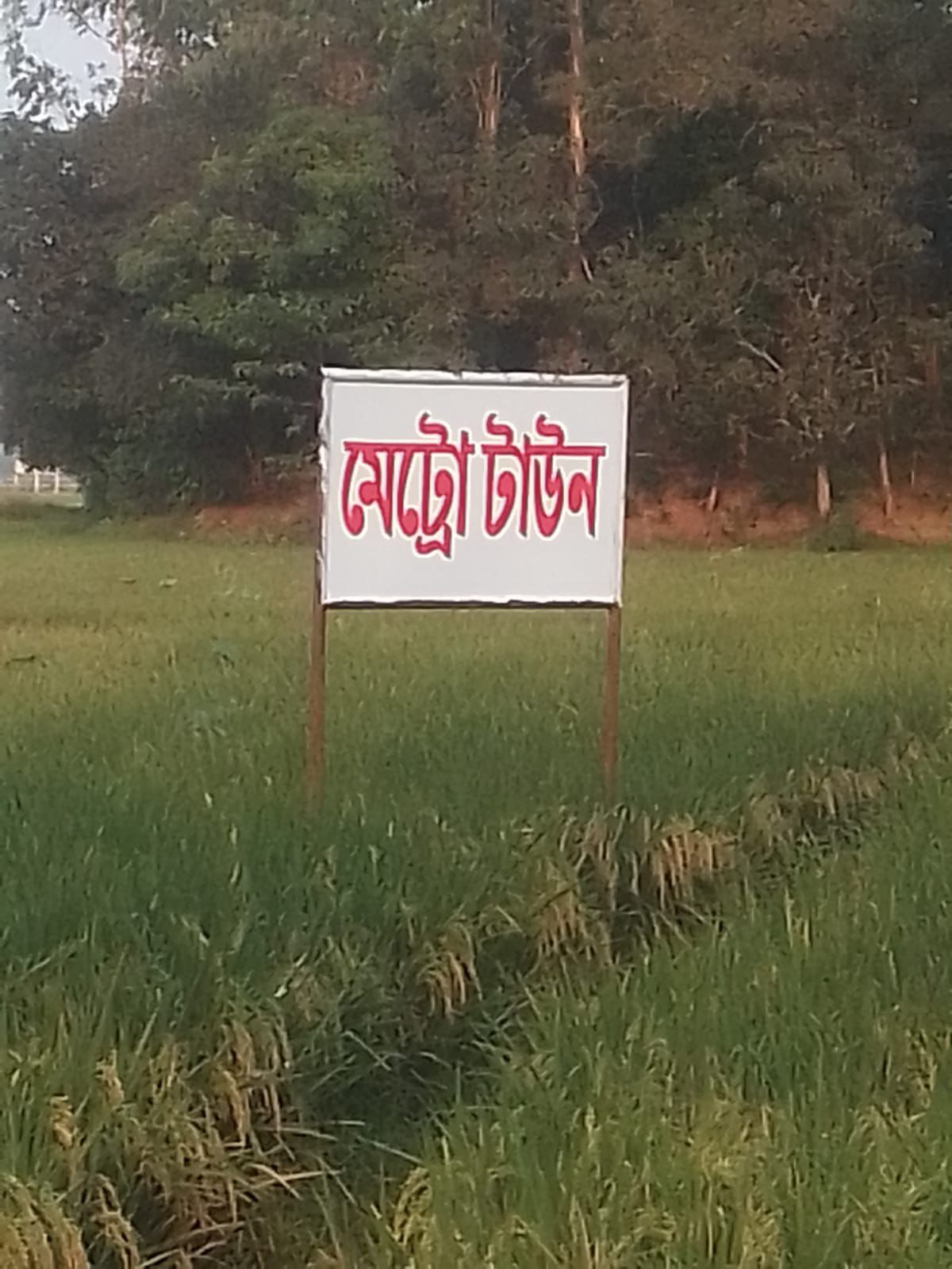 WhatsApp Image 2026-04-26 at 4.16